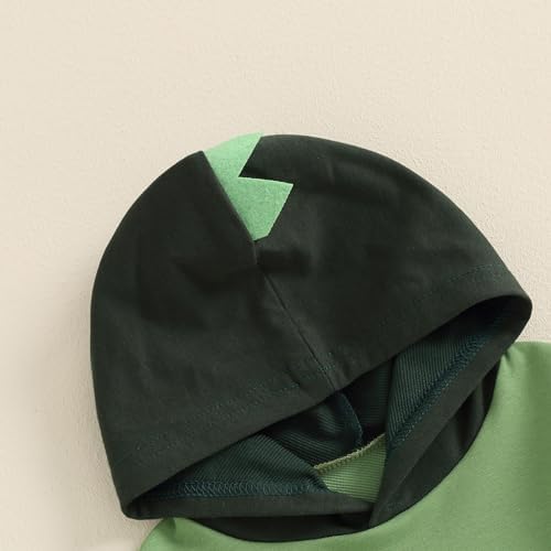 Infant Baby Boys Dinosaur Print fall winter wear