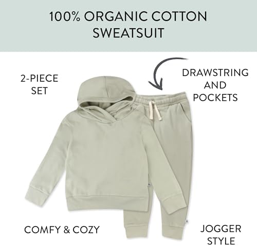 HonestBaby Organic Cotton Pullover Hoodie and Jogger Pant Set