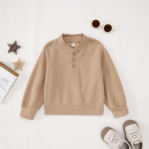 Cute Winter Swing plt toddler boys sweatshirt