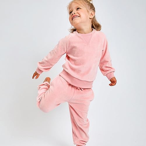 Honest Baby Velour Set