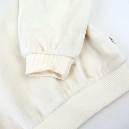 HonestBaby Soft Velour Hoodie Pant Set