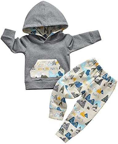Cutie Little Bear Little Ones Toddler Cartoon Long Sleeve Hoodie Set