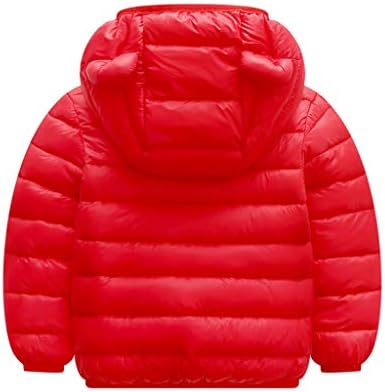 Snowsuit for Toddlers Boys Winter Coat rightfully