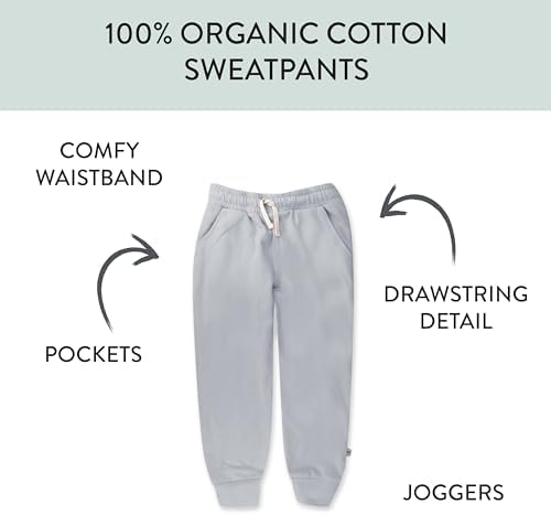 HonestBaby Organic Cotton Hoodie Sweatpants Set