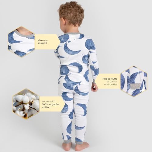 Burts Bees Baby Boys Pajamas Set Organic Cotton 2-Piece