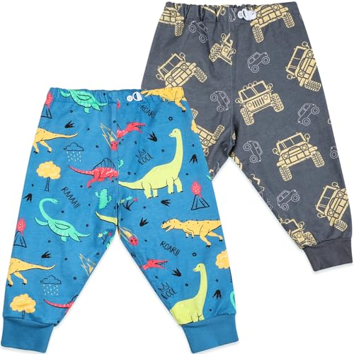 Quick Dry Potty Training Pants for Boys