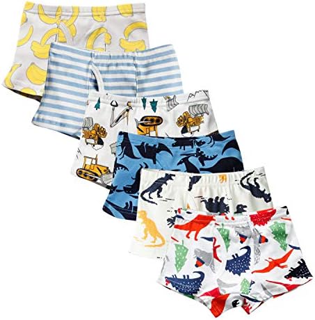 Evelin Lee 6-Pack Baby Boys Cotton Underwear Soft Cartoon Design