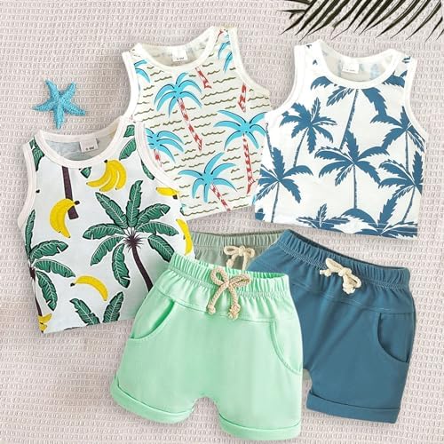 AMIMOJY Toddler Boys Summer Outfit 2-Piece Set