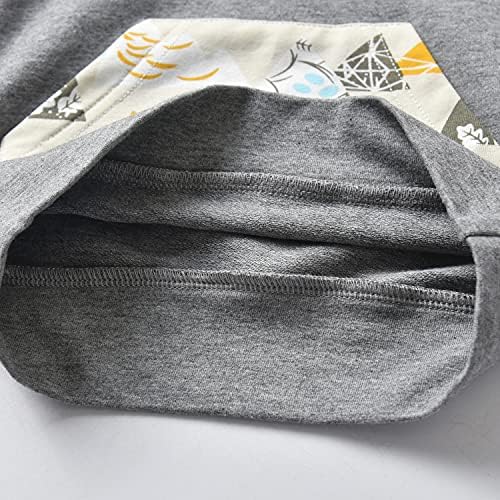Cutie Little Bear Little Ones Toddler Cartoon Long Sleeve Hoodie Set
