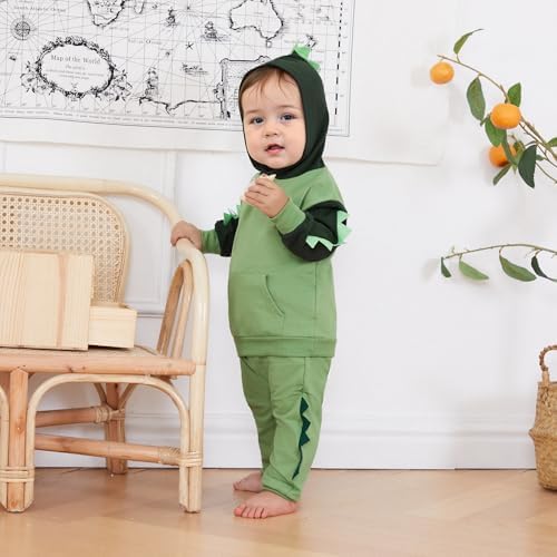 Infant Baby Boys Dinosaur Print fall winter wear