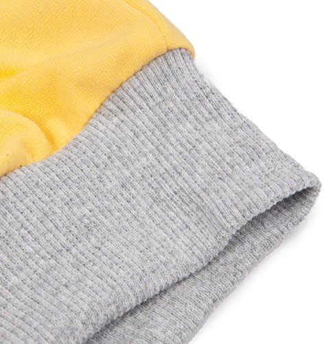 Little Hand Boys Dinosaur ToddlerHoodie Easy Wearing daily wear polyesterCutie