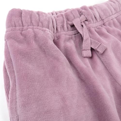 HonestBaby Velour Hoodie and Jogger Set
