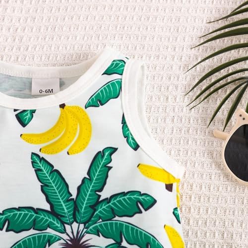 AMIMOJY Toddler Boys Summer Outfit 2-Piece Set