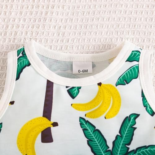 AMIMOJY Toddler Boys Summer Outfit 2-Piece Set
