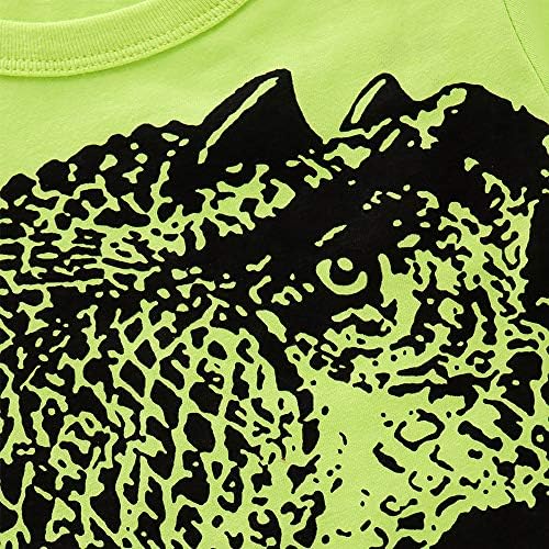 Toddler Boy Cartoon Cotton Summer Set 2-7 Years