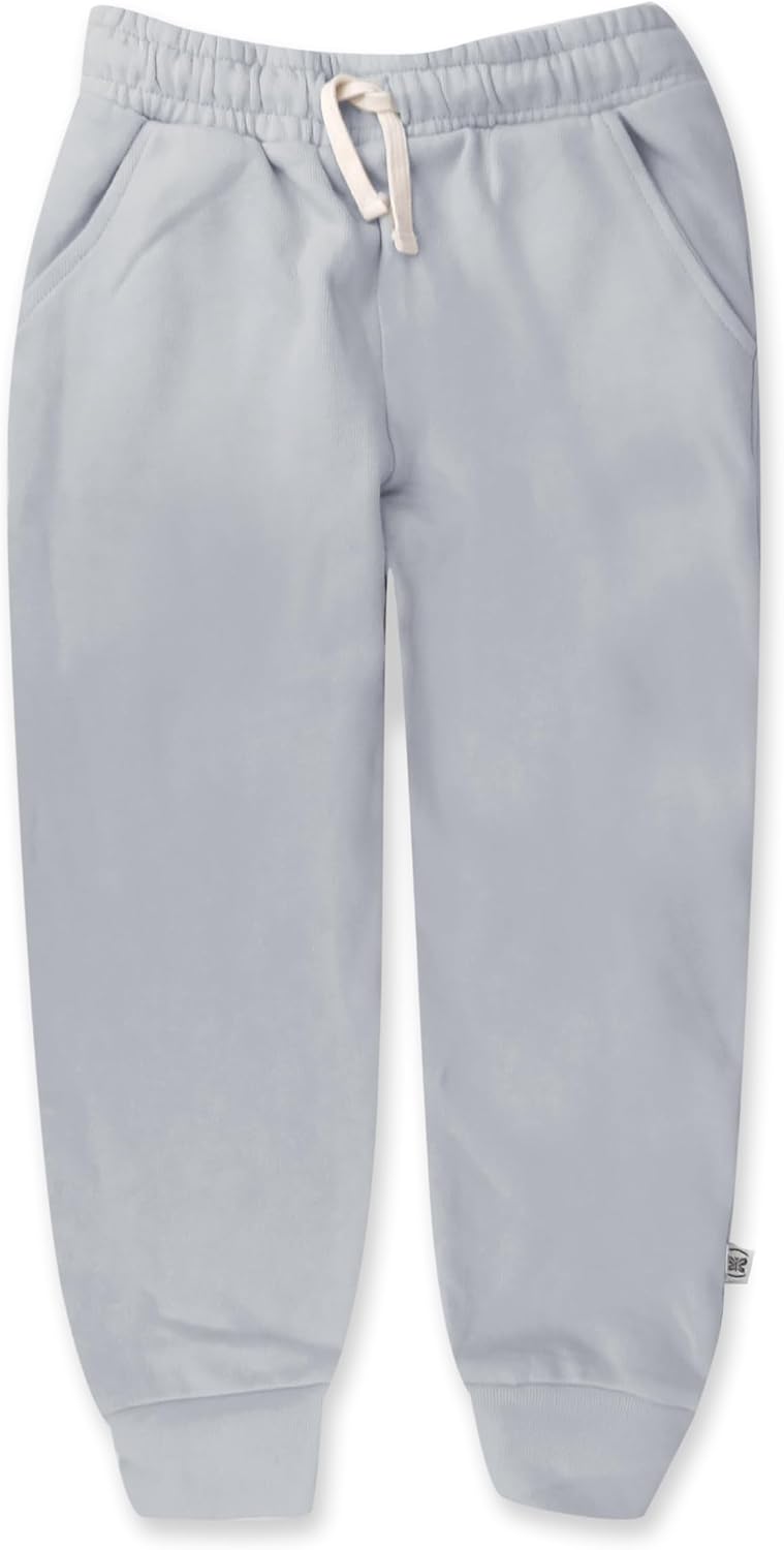 HonestBaby Organic Cotton Hoodie Sweatpants Set