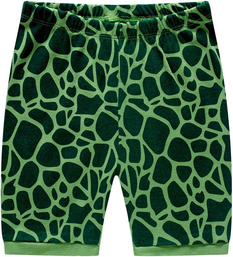Popshion Boys Pajamas Dinosaur Design Soft Cute Sleepwear for Kids