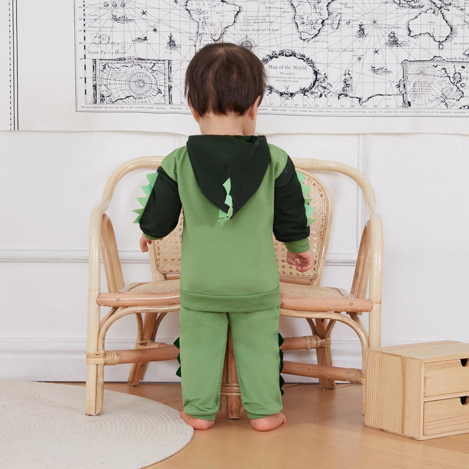 Infant Baby Boys Dinosaur Print fall winter wear