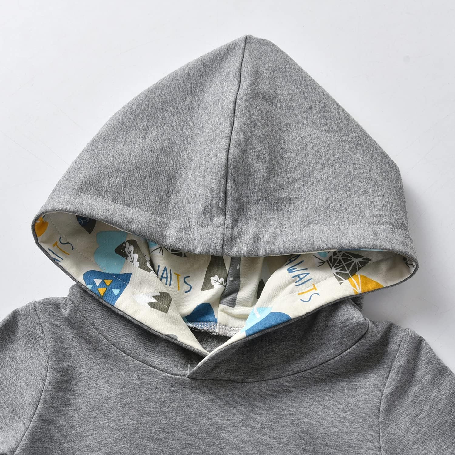 Cutie Little Bear Little Ones Toddler Cartoon Long Sleeve Hoodie Set