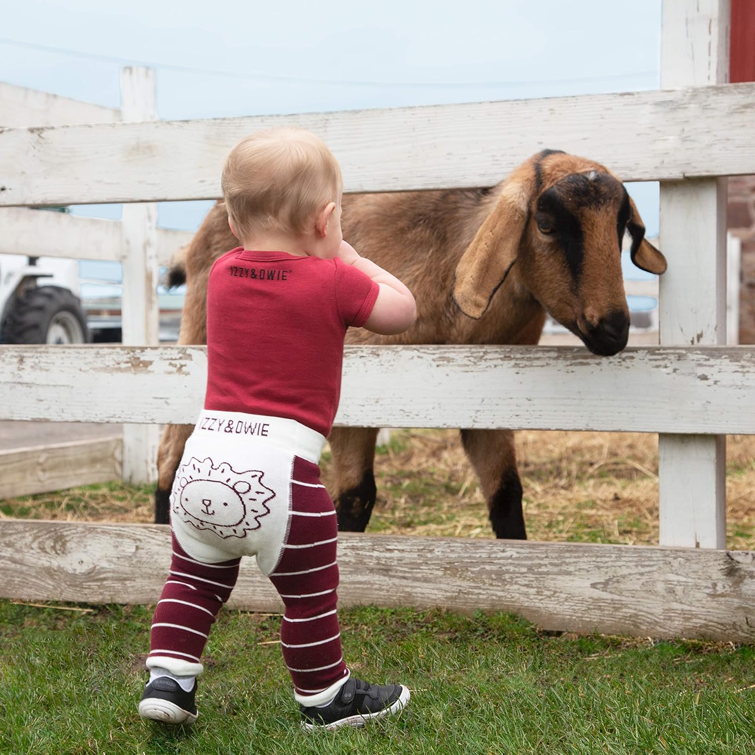 Pavilion Gift Company Lion-Red Leggings for Baby Boys